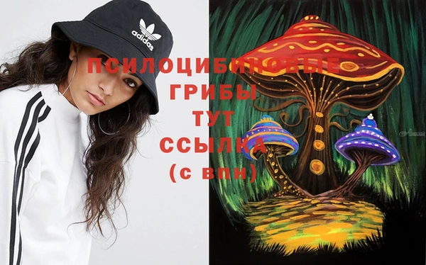 мескалин Алексин