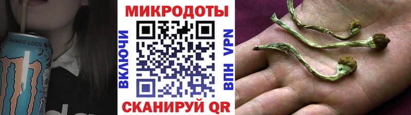 где найти наркотики  Миасс  Псилоцибиновые грибы Psilocybe 