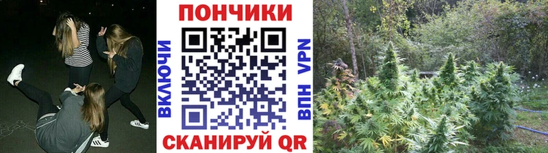 купить закладку  Миасс  Канабис ГИДРОПОН 